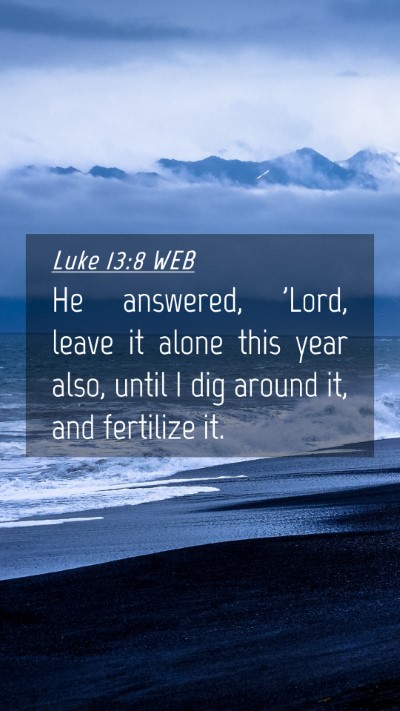 Picture 04 - Luke 13:8 WEB Mobile Phone Wallpaper - He answered, 'Lord, leave it alone this year - Mobile Bible Verse Wallpaper