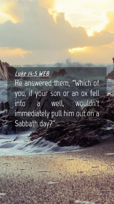 Picture 04 - Luke 14:5 WEB Mobile Phone Wallpaper - He answered them, 