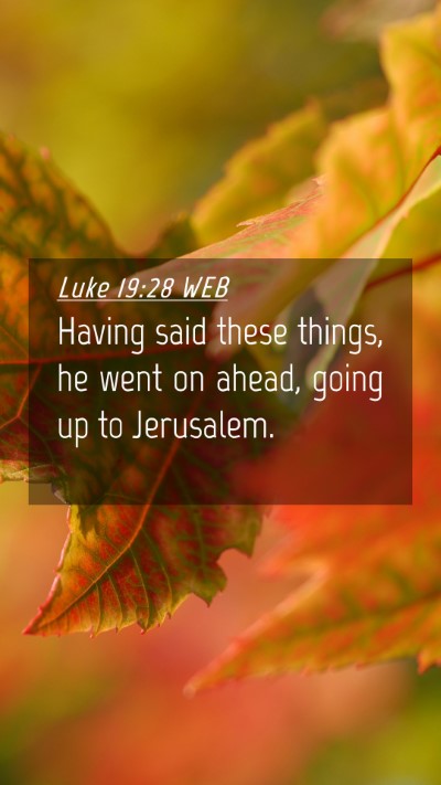 Picture 04 - Luke 19:28 WEB Mobile Phone Wallpaper - Having said these things, he went on ahead, going - Mobile Bible Verse Wallpaper