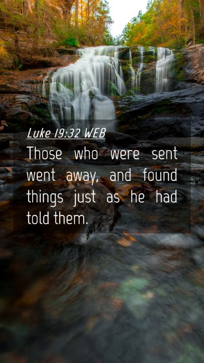 Picture 04 - Luke 19:32 WEB Mobile Phone Wallpaper - Those who were sent went away, and found things - Mobile Bible Verse Wallpaper