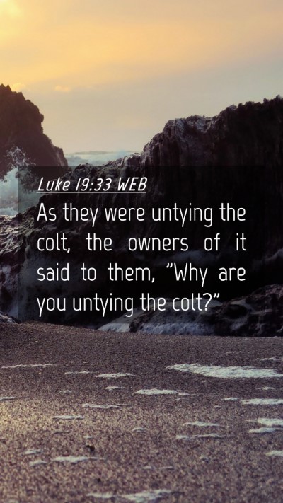 Picture 04 - Luke 19:33 WEB Mobile Phone Wallpaper - As they were untying the colt, the owners of it - Mobile Bible Verse Wallpaper