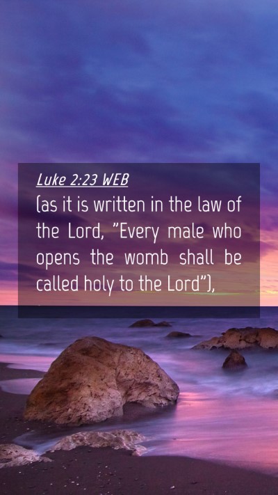 Picture 04 - Luke 2:23 WEB Mobile Phone Wallpaper - (as it is written in the law of the Lord, 