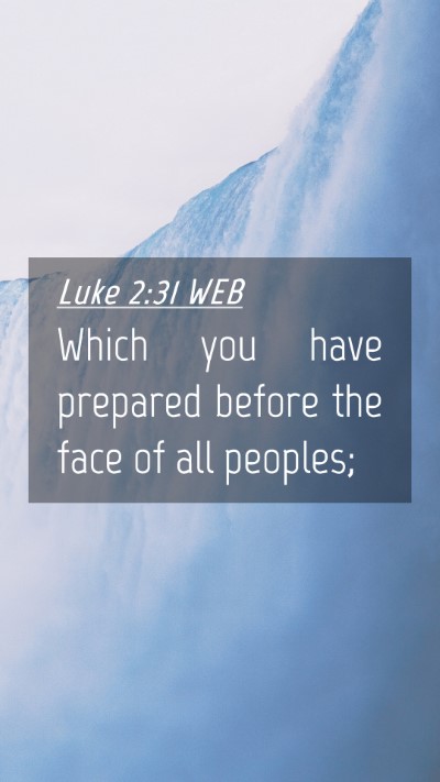 Picture 04 - Luke 2:31 WEB Mobile Phone Wallpaper - Which you have prepared before the face of all - Mobile Bible Verse Wallpaper
