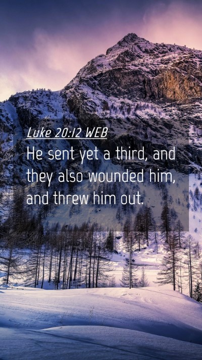Picture 04 - Luke 20:12 WEB Mobile Phone Wallpaper - He sent yet a third, and they also wounded him, - Mobile Bible Verse Wallpaper