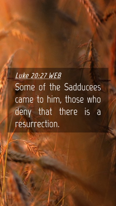 Picture 04 - Luke 20:27 WEB Mobile Phone Wallpaper - Some of the Sadducees came to him, those who deny - Mobile Bible Verse Wallpaper