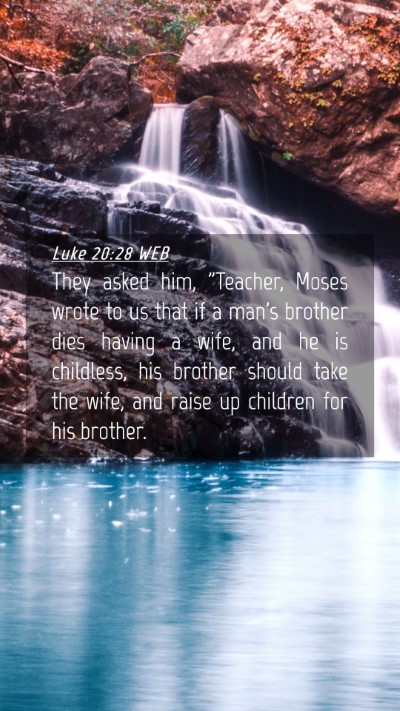 Picture 04 - Luke 20:28 WEB Mobile Phone Wallpaper - They asked him, 