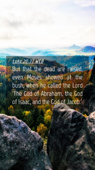 Picture 04 - Luke 20:37 WEB Mobile Phone Wallpaper - But that the dead are raised, even Moses showed - Mobile Bible Verse Wallpaper