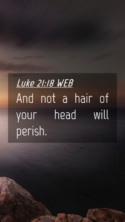 Picture 04 - Luke 21:18 WEB Mobile Phone Wallpaper - And not a hair of your head will - Mobile Bible Verse Wallpaper