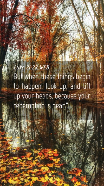Picture 04 - Luke 21:28 WEB Mobile Phone Wallpaper - But when these things begin to happen, look up, - Mobile Bible Verse Wallpaper