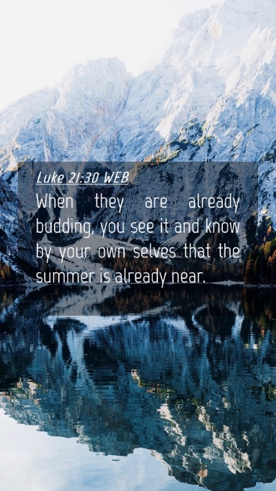 Picture 04 - Luke 21:30 WEB Mobile Phone Wallpaper - When they are already budding, you see it and - Mobile Bible Verse Wallpaper