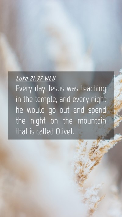 Picture 04 - Luke 21:37 WEB Mobile Phone Wallpaper - Every day Jesus was teaching in the temple, and - Mobile Bible Verse Wallpaper