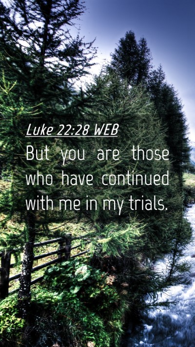 Picture 04 - Luke 22:28 WEB Mobile Phone Wallpaper - But you are those who have continued with me in - Mobile Bible Verse Wallpaper