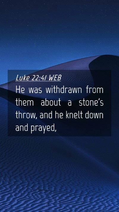 Picture 04 - Luke 22:41 WEB Mobile Phone Wallpaper - He was withdrawn from them about a stone's throw, - Mobile Bible Verse Wallpaper