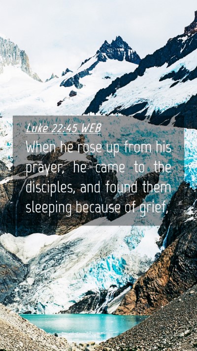 Picture 04 - Luke 22:45 WEB Mobile Phone Wallpaper - When he rose up from his prayer, he came to the - Mobile Bible Verse Wallpaper