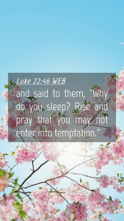 Picture 04 - Luke 22:46 WEB Mobile Phone Wallpaper - and said to them, 
