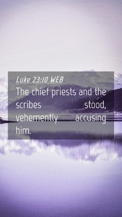 Picture 04 - Luke 23:10 WEB Mobile Phone Wallpaper - The chief priests and the scribes stood, - Mobile Bible Verse Wallpaper