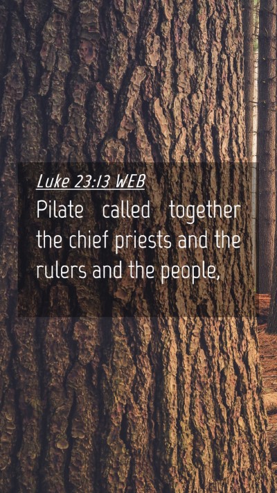 Picture 04 - Luke 23:13 WEB Mobile Phone Wallpaper - Pilate called together the chief priests and the - Mobile Bible Verse Wallpaper