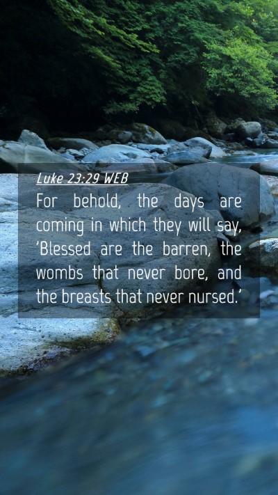 Picture 04 - Luke 23:29 WEB Mobile Phone Wallpaper - For behold, the days are coming in which they - Mobile Bible Verse Wallpaper