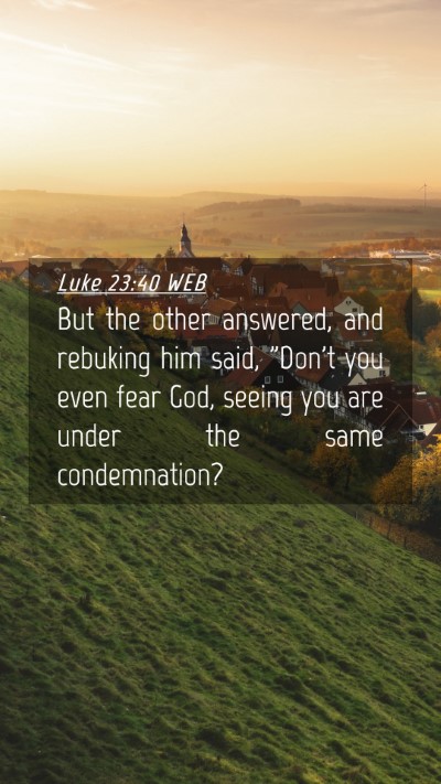 Picture 04 - Luke 23:40 WEB Mobile Phone Wallpaper - But the other answered, and rebuking him said, - Mobile Bible Verse Wallpaper