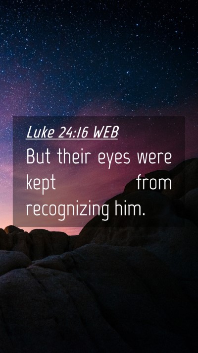 Picture 04 - Luke 24:16 WEB Mobile Phone Wallpaper - But their eyes were kept from recognizing - Mobile Bible Verse Wallpaper