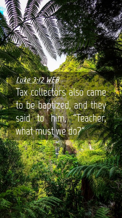 Picture 04 - Luke 3:12 WEB Mobile Phone Wallpaper - Tax collectors also came to be baptized, and they - Mobile Bible Verse Wallpaper