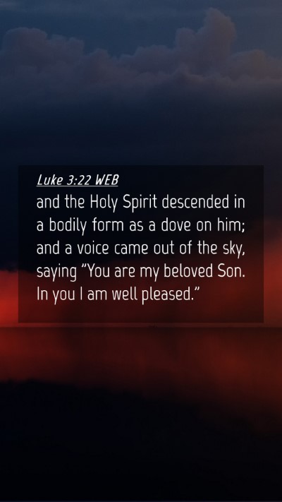 Picture 04 - Luke 3:22 WEB Mobile Phone Wallpaper - and the Holy Spirit descended in a bodily form as - Mobile Bible Verse Wallpaper