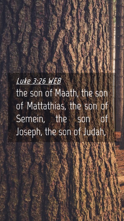 Picture 04 - Luke 3:26 WEB Mobile Phone Wallpaper - the son of Maath, the son of Mattathias, the son - Mobile Bible Verse Wallpaper
