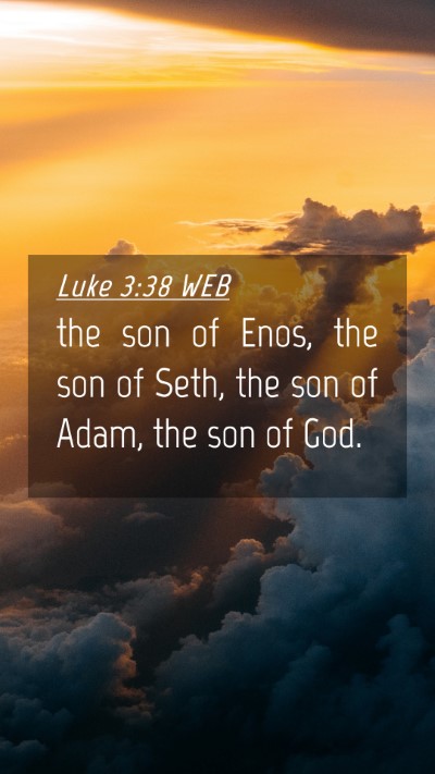 Picture 04 - Luke 3:38 WEB Mobile Phone Wallpaper - the son of Enos, the son of Seth, the son of - Mobile Bible Verse Wallpaper