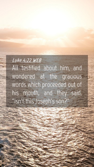 Picture 04 - Luke 4:22 WEB Mobile Phone Wallpaper - All testified about him, and wondered at the - Mobile Bible Verse Wallpaper