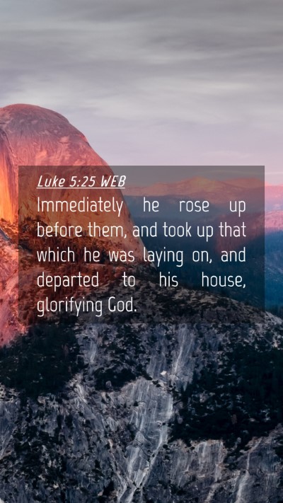 Picture 04 - Luke 5:25 WEB Mobile Phone Wallpaper - Immediately he rose up before them, and took up - Mobile Bible Verse Wallpaper