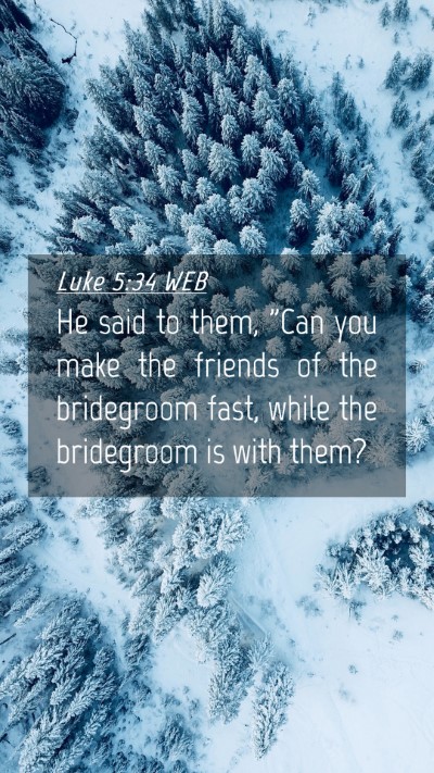 Picture 04 - Luke 5:34 WEB Mobile Phone Wallpaper - He said to them, 
