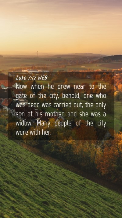 Picture 04 - Luke 7:12 WEB Mobile Phone Wallpaper - Now when he drew near to the gate of the city, - Mobile Bible Verse Wallpaper