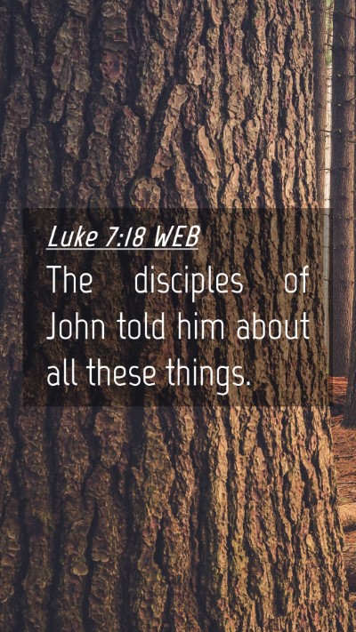 Picture 04 - Luke 7:18 WEB Mobile Phone Wallpaper - The disciples of John told him about all these - Mobile Bible Verse Wallpaper