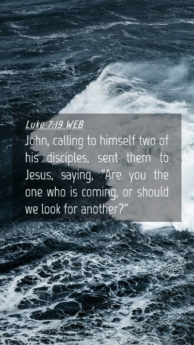 Picture 04 - Luke 7:19 WEB Mobile Phone Wallpaper - John, calling to himself two of his disciples, - Mobile Bible Verse Wallpaper