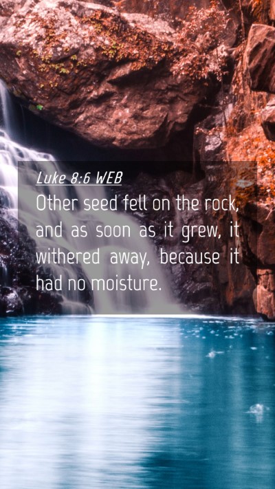 Picture 04 - Luke 8:6 WEB Mobile Phone Wallpaper - Other seed fell on the rock, and as soon as it - Mobile Bible Verse Wallpaper