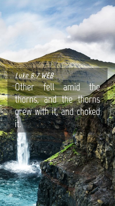 Picture 04 - Luke 8:7 WEB Mobile Phone Wallpaper - Other fell amid the thorns, and the thorns grew - Mobile Bible Verse Wallpaper