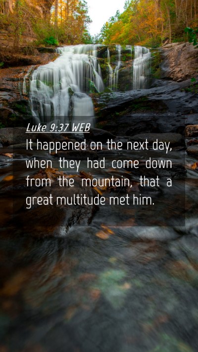 Picture 04 - Luke 9:37 WEB Mobile Phone Wallpaper - It happened on the next day, when they had come - Mobile Bible Verse Wallpaper