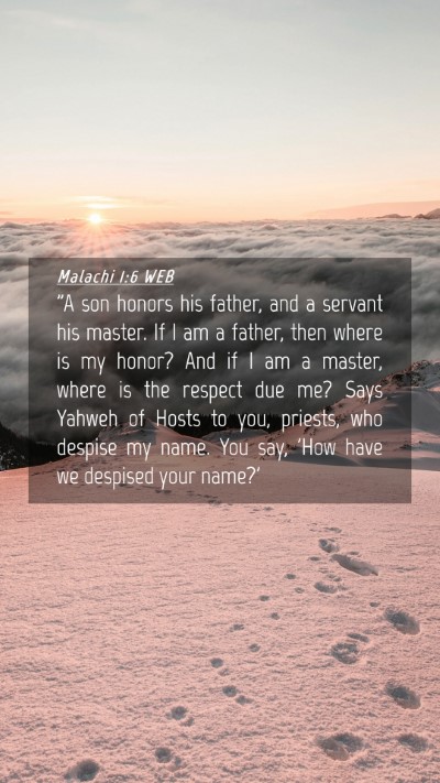 Picture 04 - Malachi 1:6 WEB Mobile Phone Wallpaper - 