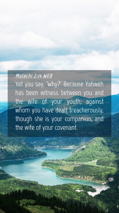 Picture 04 - Malachi 2:14 WEB Mobile Phone Wallpaper - Yet you say, 'Why?' Because Yahweh has been - Mobile Bible Verse Wallpaper
