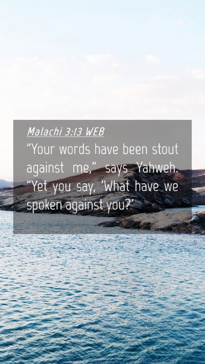 Picture 04 - Malachi 3:13 WEB Mobile Phone Wallpaper - 