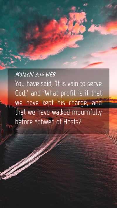 Picture 04 - Malachi 3:14 WEB Mobile Phone Wallpaper - You have said, 'It is vain to serve God;' and - Mobile Bible Verse Wallpaper