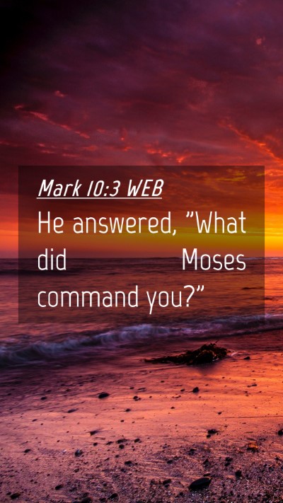 Picture 04 - Mark 10:3 WEB Mobile Phone Wallpaper - He answered, 