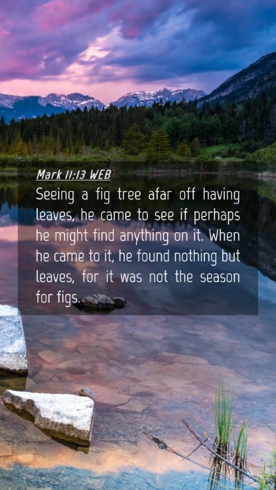 Picture 04 - Mark 11:13 WEB Mobile Phone Wallpaper - Seeing a fig tree afar off having leaves, he came - Mobile Bible Verse Wallpaper