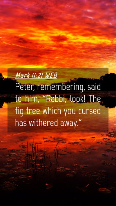 Picture 04 - Mark 11:21 WEB Mobile Phone Wallpaper - Peter, remembering, said to him, 