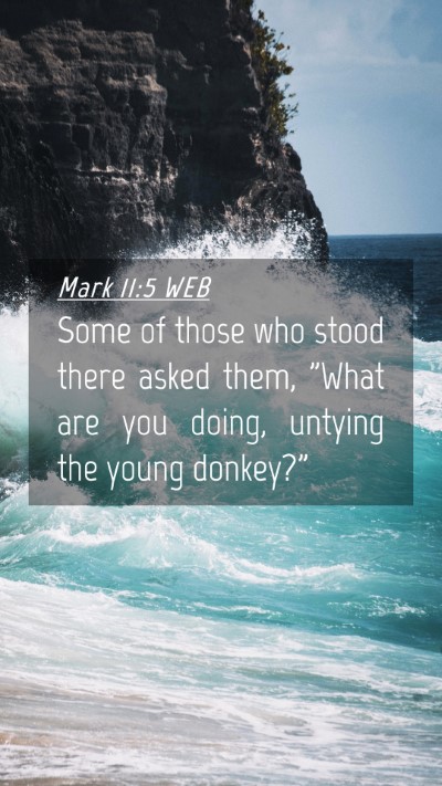 Picture 04 - Mark 11:5 WEB Mobile Phone Wallpaper - Some of those who stood there asked them, 