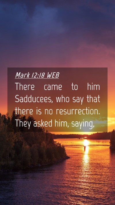 Picture 04 - Mark 12:18 WEB Mobile Phone Wallpaper - There came to him Sadducees, who say that there - Mobile Bible Verse Wallpaper
