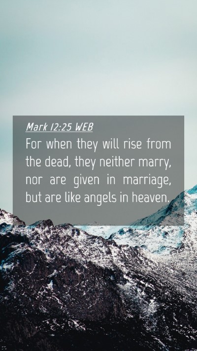 Picture 04 - Mark 12:25 WEB Mobile Phone Wallpaper - For when they will rise from the dead, they - Mobile Bible Verse Wallpaper