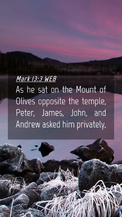 Picture 04 - Mark 13:3 WEB Mobile Phone Wallpaper - As he sat on the Mount of Olives opposite the - Mobile Bible Verse Wallpaper