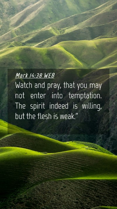 Picture 04 - Mark 14:38 WEB Mobile Phone Wallpaper - Watch and pray, that you may not enter into - Mobile Bible Verse Wallpaper