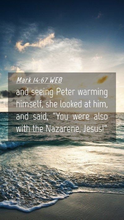 Picture 04 - Mark 14:67 WEB Mobile Phone Wallpaper - and seeing Peter warming himself, she looked at - Mobile Bible Verse Wallpaper